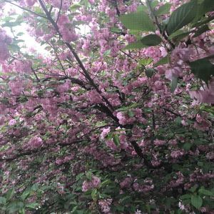 Meet your Posher, Nina